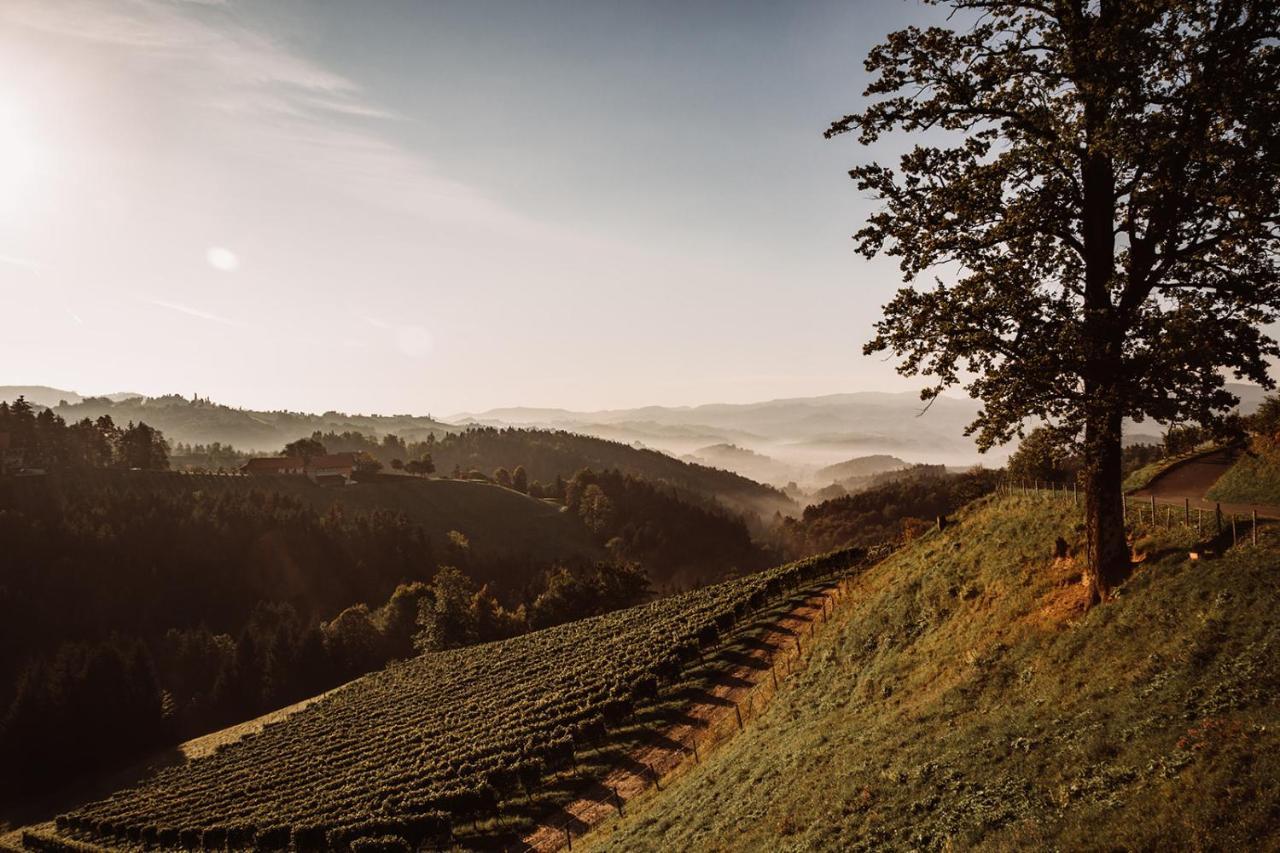 Weingut Kollerhof Am Eichberg Villa Leutschach Kültér fotó