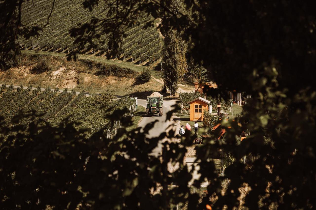 Weingut Kollerhof Am Eichberg Villa Leutschach Kültér fotó