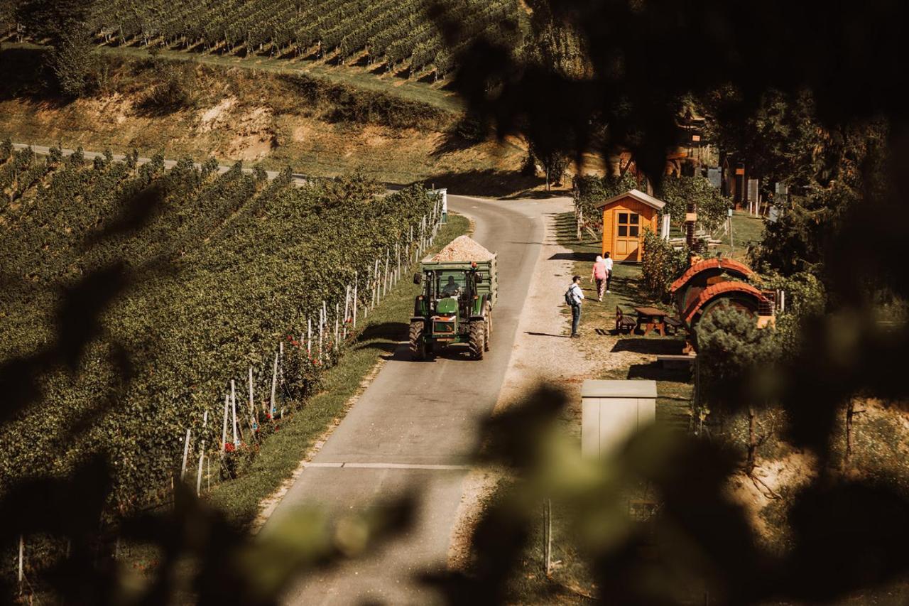 Weingut Kollerhof Am Eichberg Villa Leutschach Kültér fotó